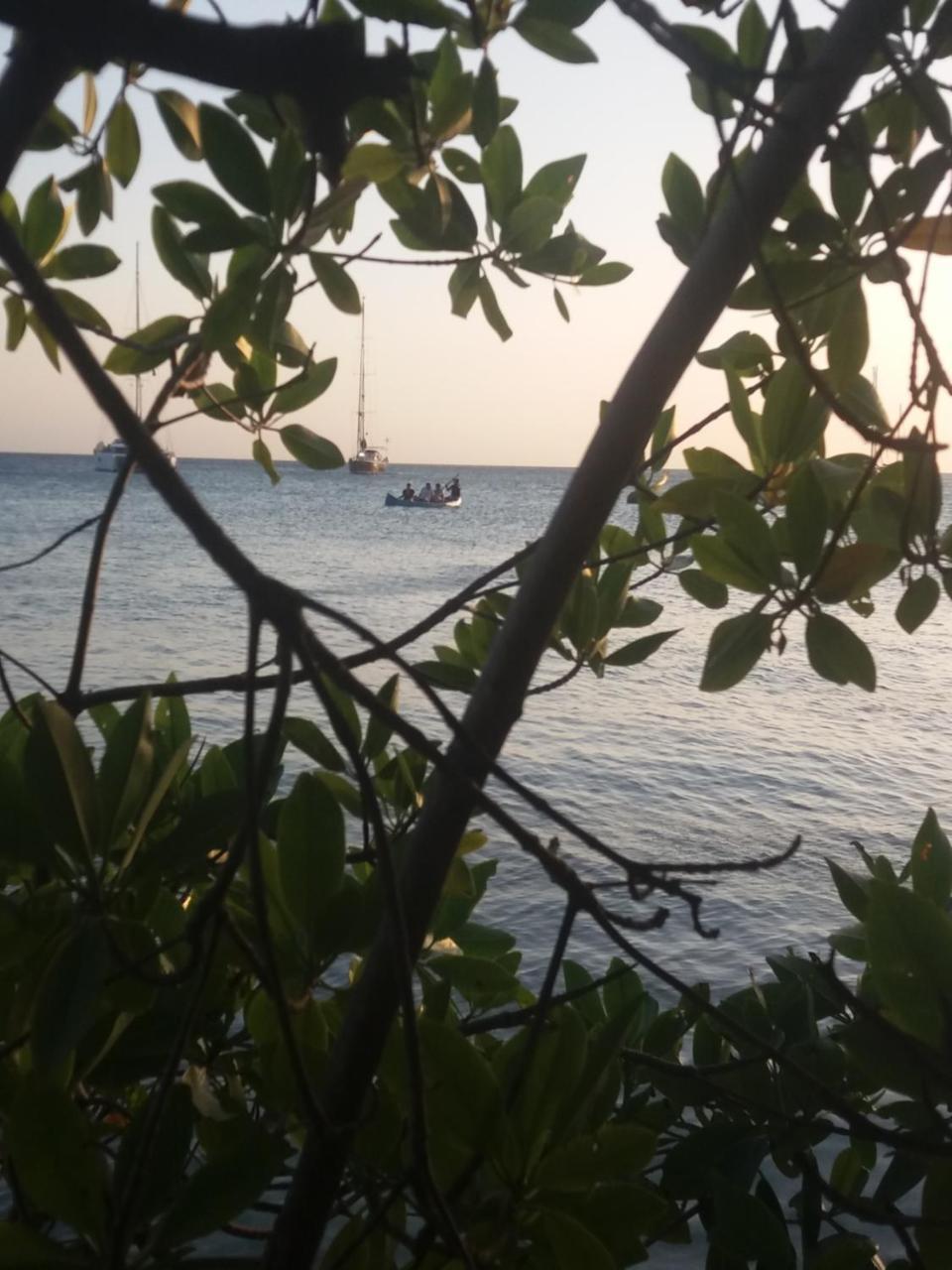 Ecohotel Arte Y Aventura Isla Grande  Eksteriør billede